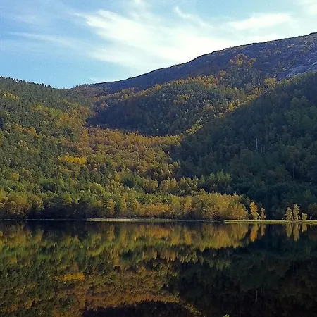 Tommerneset Camping Camping