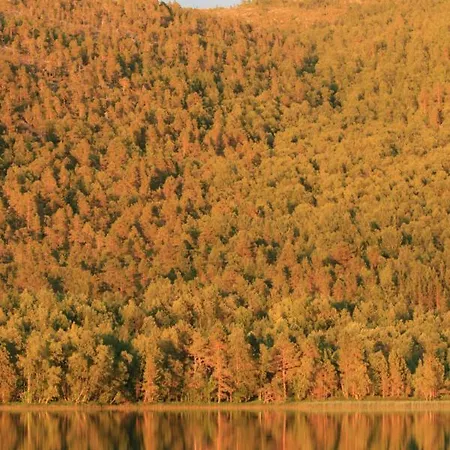 Camping Tommerneset Camping